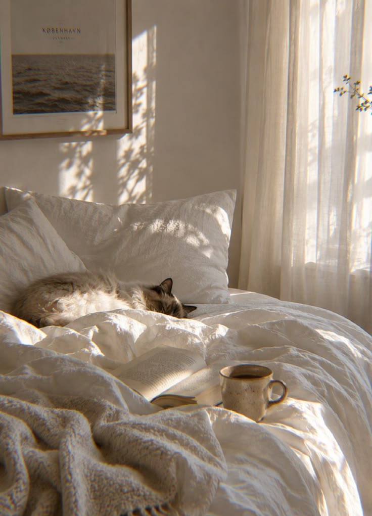 Unmasking Rest: What True Comfort Feels Like