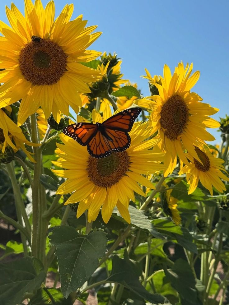 A Gentle Spring Reset for an Overstimulated Nervous System
