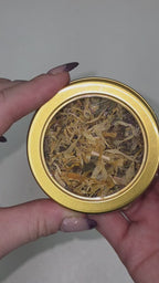 Sip of the Sunbeam | Immunity Herbal Tea Blend